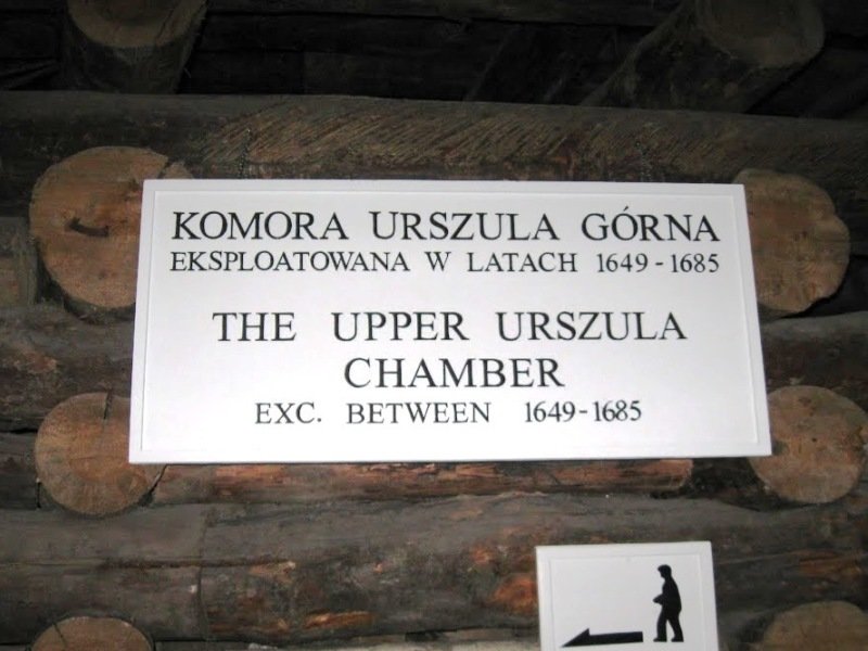 wieliczkaurszulakamra5.jpg